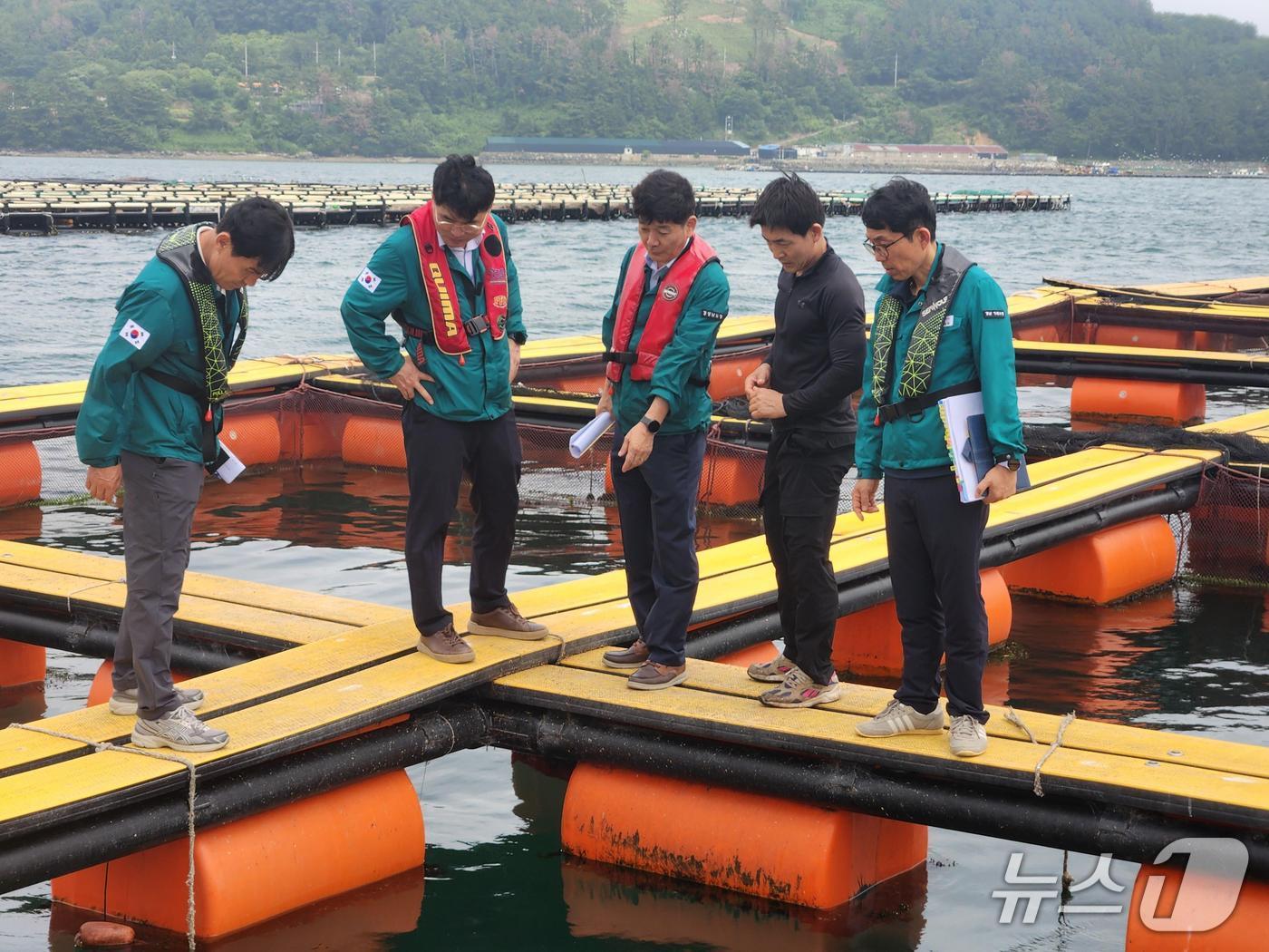 본문 이미지 - 경남도 합동 현장지도반이 지역 내 양식장을 찾아 고수온 대응 상황을 점검하고 있다.(경남도 제공. 재판매 및 DB금지)