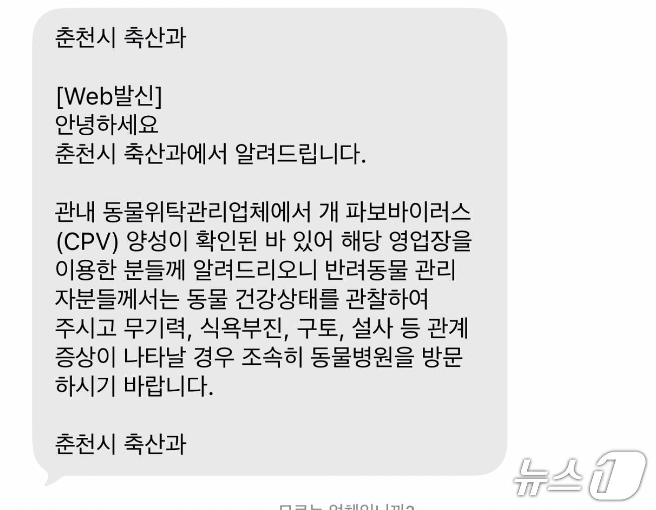 본문 이미지 - 춘천시 안내 문자.(독자 제공, 재판매 및 DB금지) 