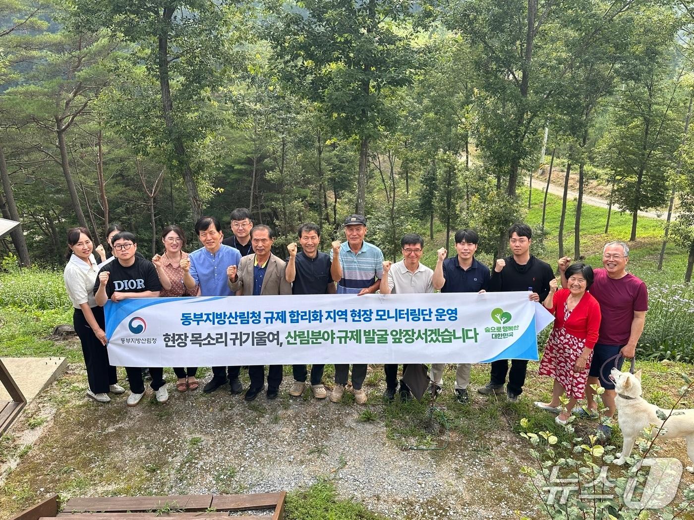 본문 이미지 - 동부지방산림청 규제 합리화 지역 현장 모니터링단 단체사진.(동부산림청 제공, 재판매 및 DB 금지) 2206.7.28/뉴스1
