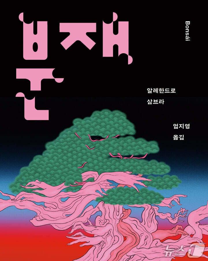 본문 이미지 - 소설은 에밀리아의 죽음과 훌리오의 생존을 먼저 내놓은 뒤, 그 사이에 놓인 시간을 거슬러 올라간다.