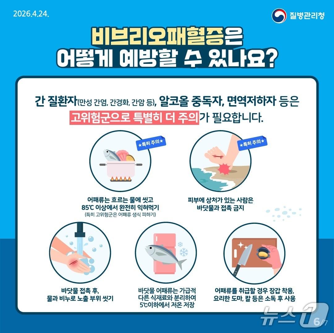 본문 이미지 - 비브리오패혈증 예방수칙.(전북도 제공. 재판매 및 DB금지)/뉴스1 