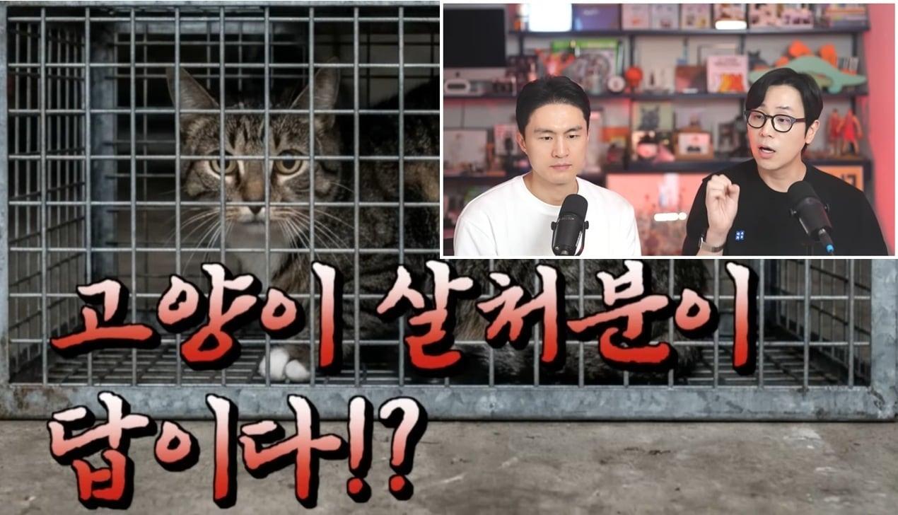 본문 이미지 - 나응식 수의사와 이학범 수의사는 지난 28일 유튜브 '냥신TV'를 통해 길고양이 살처분 주장을 정면 비판하는 라이브 방송을 진행했다(유튜브 냥신TV 갈무리). ⓒ 뉴스1