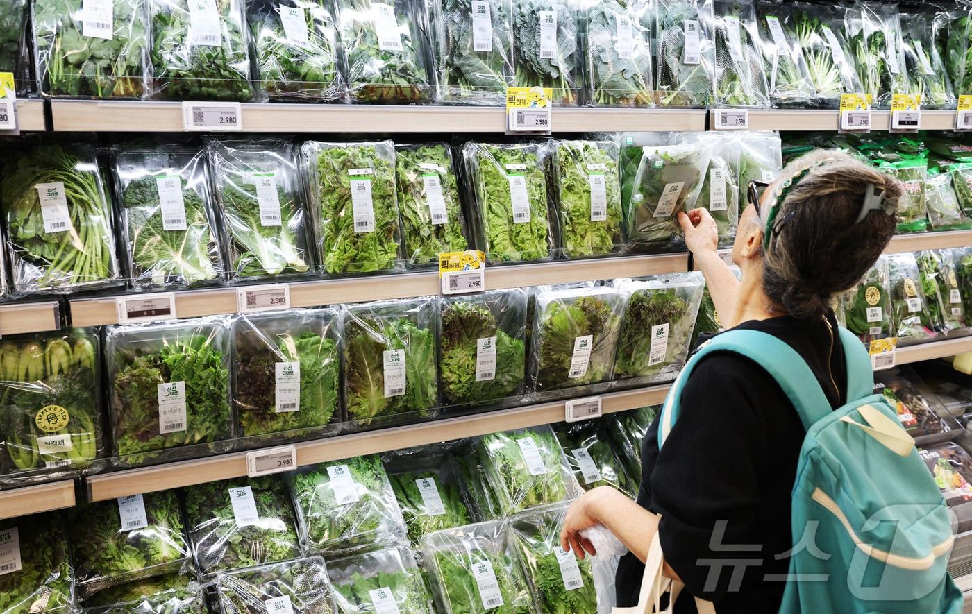 본문 이미지 - 29일 서울 시내 한 대형마트 채소 판매대에 잎채소가 진열돼 있다. 2026.7.29 ⓒ 뉴스1 이종수 기자