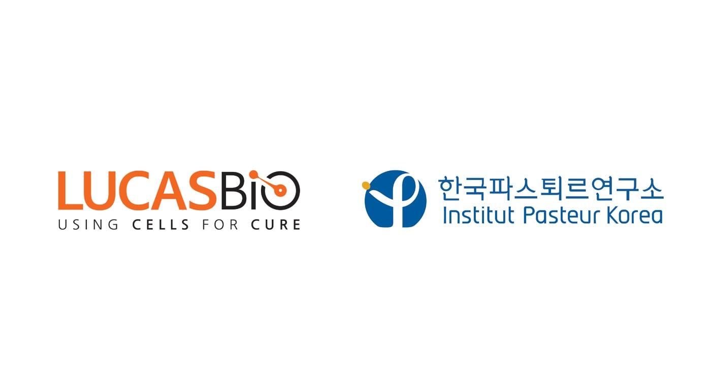 본문 이미지 -  