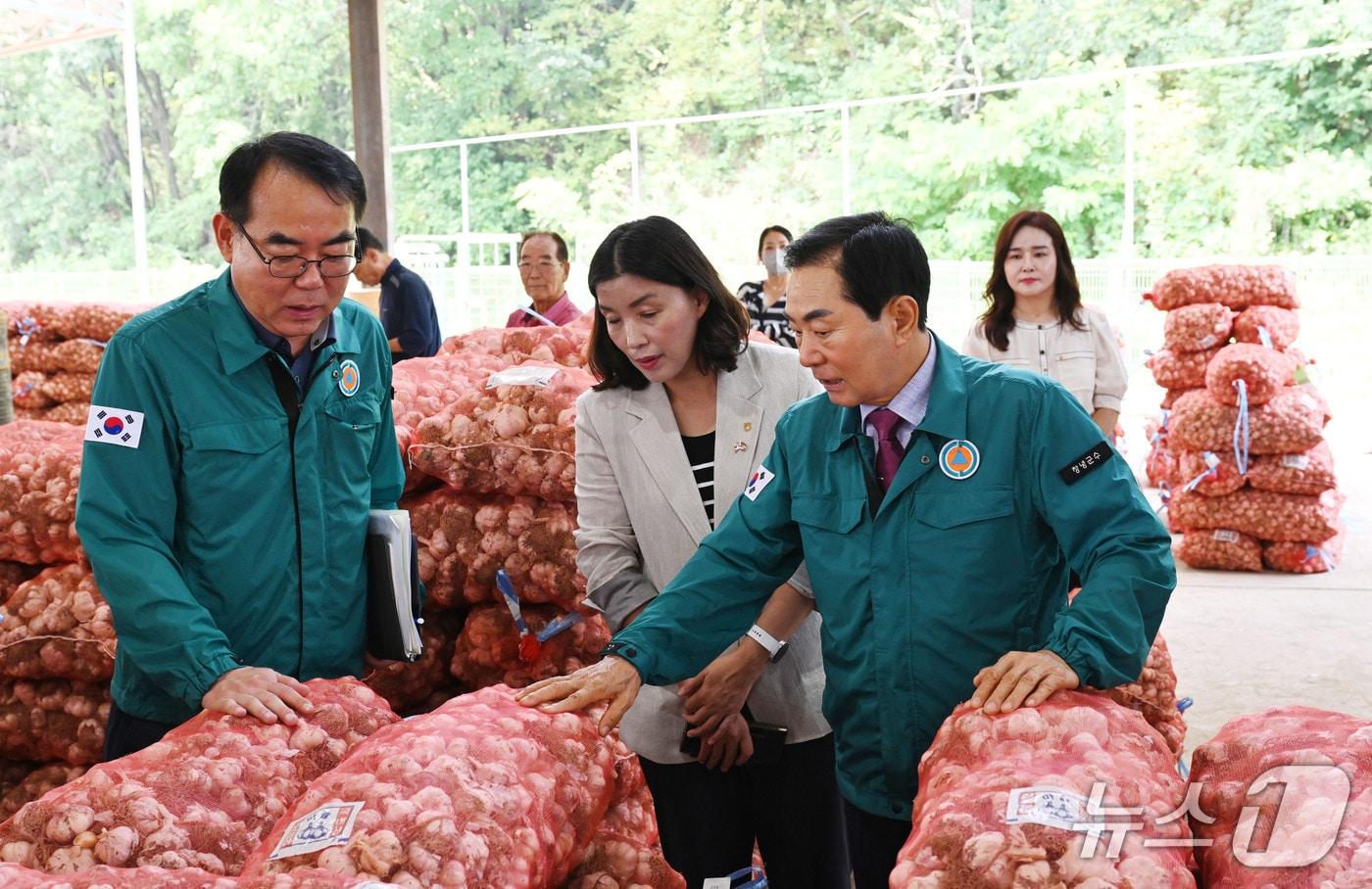 본문 이미지 - 성낙인 창녕군수가 3일 햇마늘 경매가 시작된 창녕농협 농산물 공판장을 찾아 경매 현장을 둘러보고 있다.(창녕군 제공. 재판매 및 DB금지)