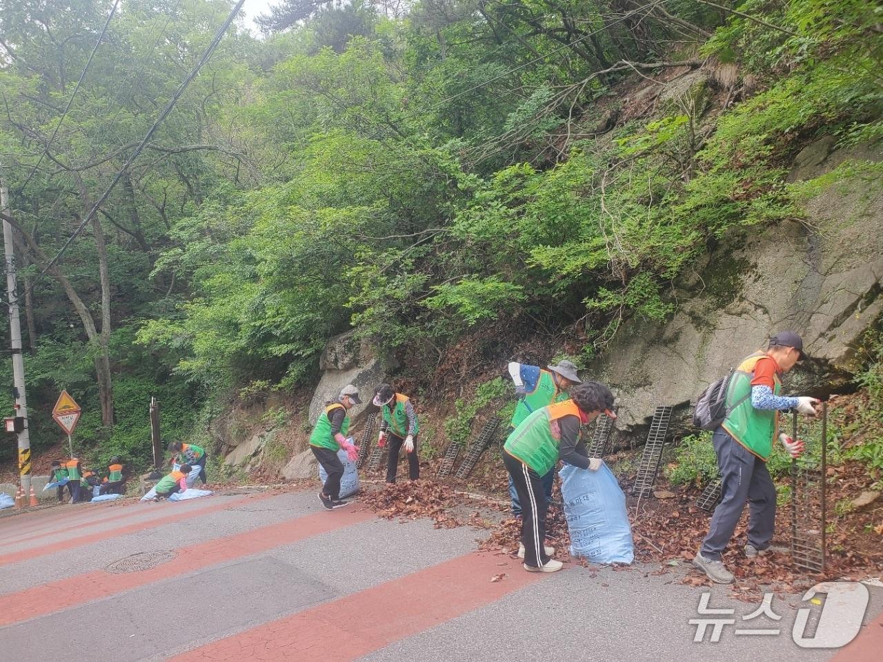 본문 이미지 - 울산 동구 자율방재단이 새납마을 진입로 일원 배수로를 정비하고 있다.(울산 동구 제공. 재판매 및 DB금지)/뉴스1