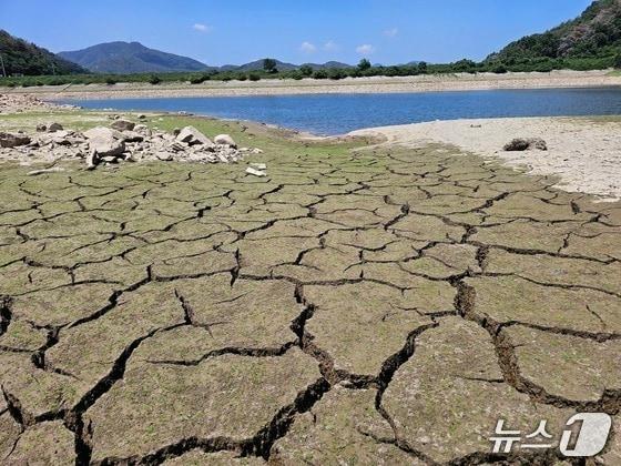 본문 이미지 - 밀양시 초동면 봉황리에 있는 와지저수지의 땅바닥이 갈라져 있다. 2026.7.24 ⓒ 뉴스1 박민석 기자