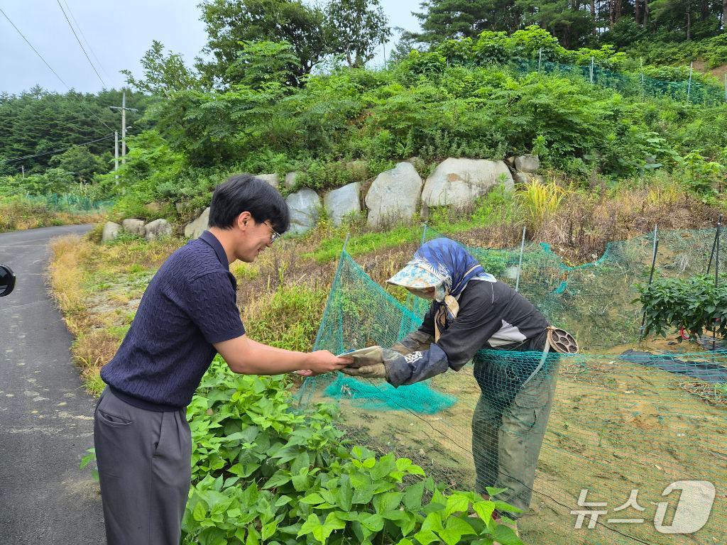 본문 이미지 - 강릉시, 폭염 대응 농업인 온열질환 예방 현장점검.(강릉시 제공, 재판매 및 DB 금지) 2026.7.30/뉴스1