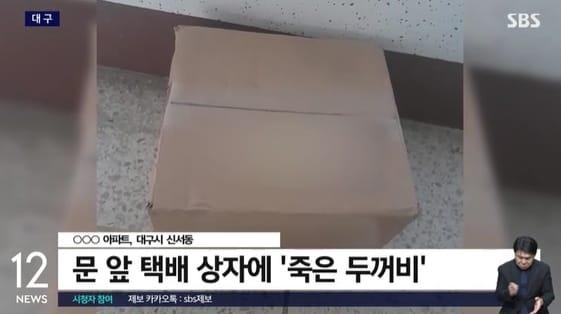 본문 이미지 - SBS