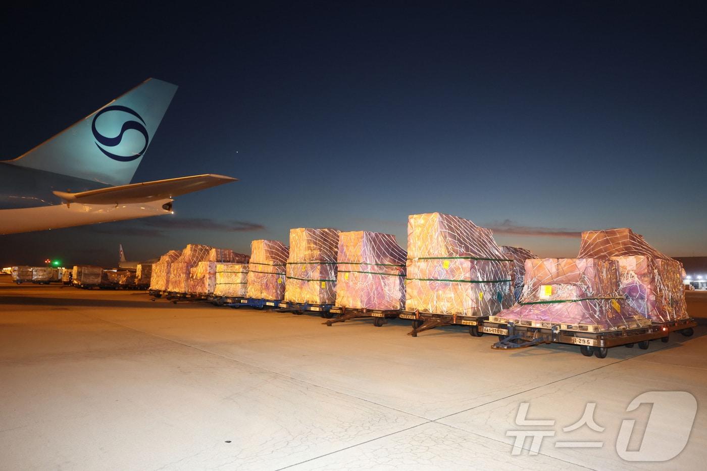 본문 이미지 - 지난 30일 인천국제공항 대한항공 화물터미널에서 관계자들이 삼성전자와 SK하이닉스의 반도체를 홍콩으로 향하는 항공기에 탑재하고 있다. (공동취재) ⓒ 뉴스1 김성진 기자