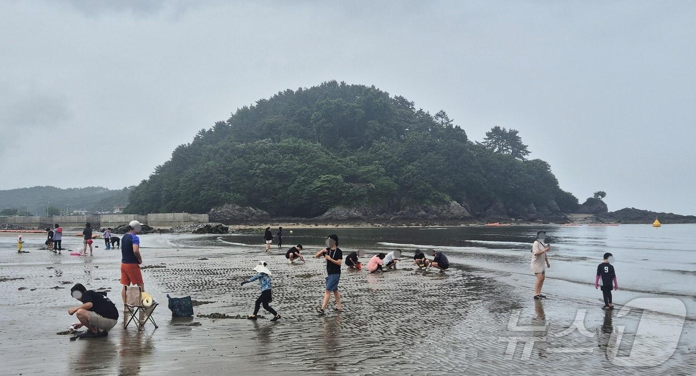 본문 이미지 - 4일 전북 부안군 변산해수욕장을 찾은 피서객들이 조개를 잡으며 주말을 보내고 있다. 2026.7.4 ⓒ 뉴스1 강교현 기자