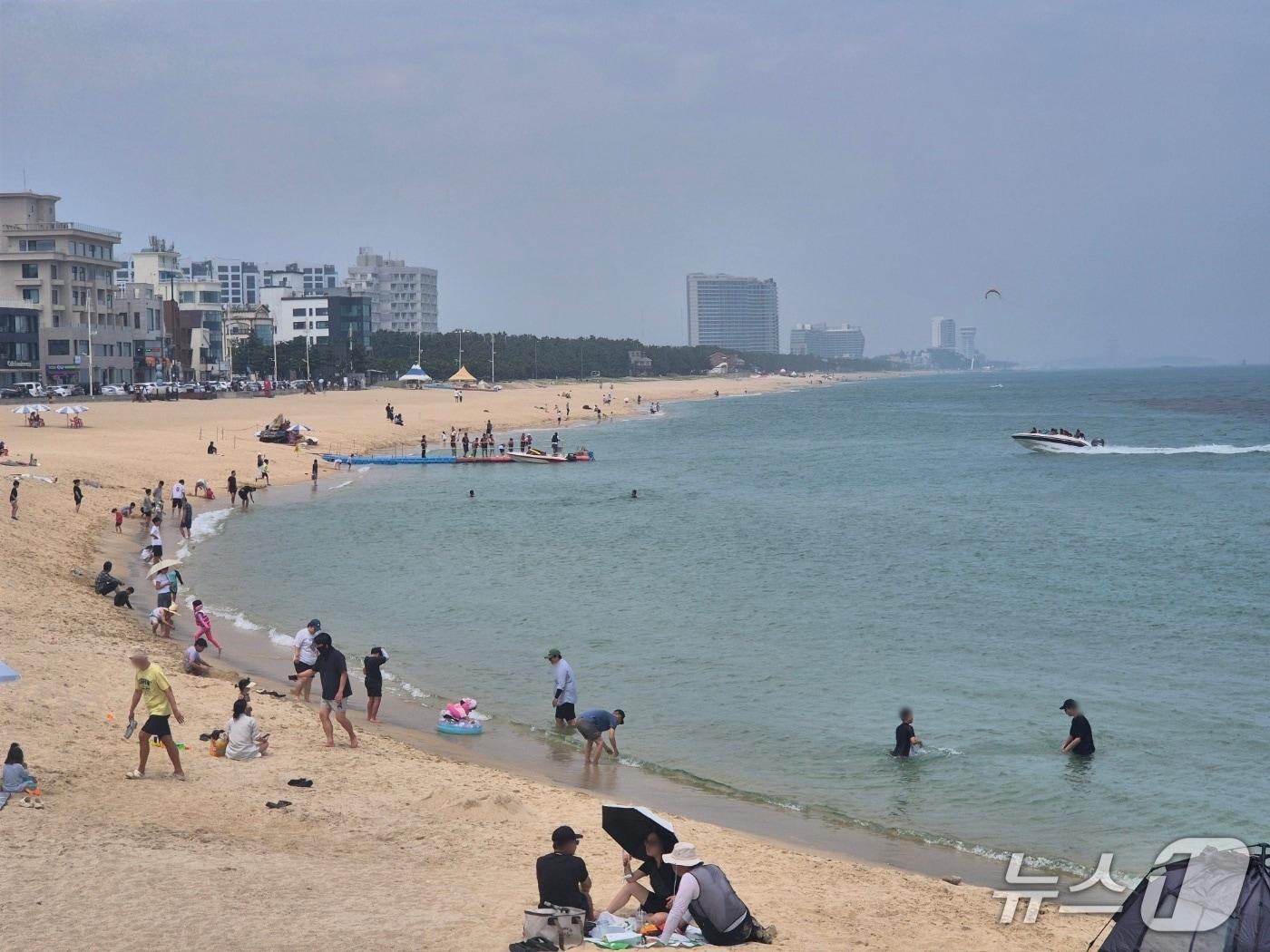 본문 이미지 - 5일 강릉 안목해변 풍경. 강릉시와 해경 등에 따르면 전날 안목해변 동쪽 4㎞ 해상에서 상어 출몰 신고가 접수됐다. 2026.7.5/뉴스1 윤왕근 기자