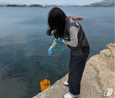 본문 이미지 - 경남도보건환경연구원 관계자가 해안에서 비브리오 패혈증균 발생 여부를 확인하기 위해 검체를 채취하고 있다.(경남도보건환경연구원 제공. 재판매 및 DB금지)/ 뉴스1 ⓒ News1