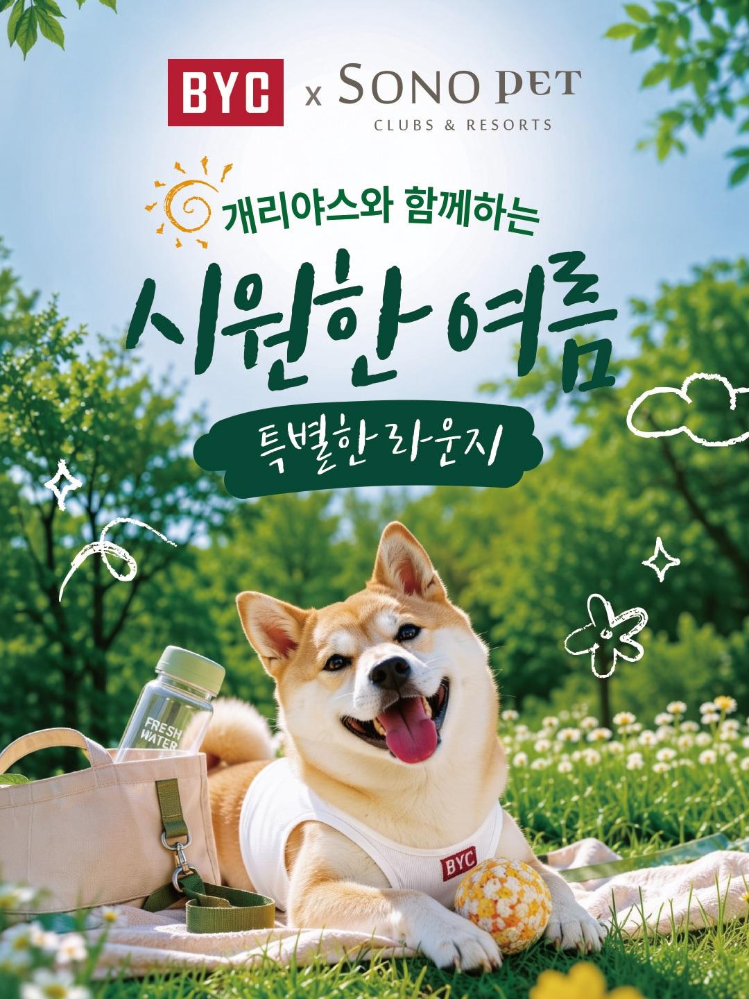 본문 이미지 - BYC가 소노펫과 반려인을 위한 여름 이벤트를 진행한다(업체 제공). ⓒ 뉴스1