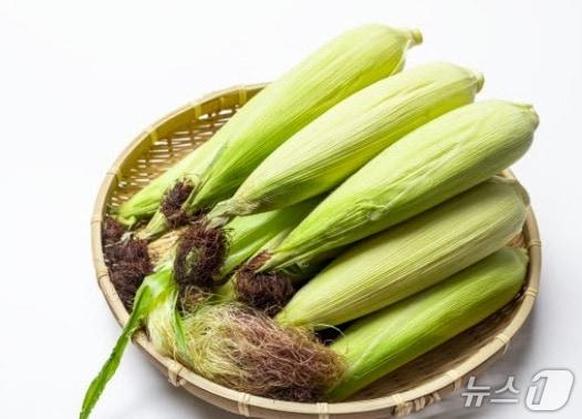 본문 이미지 - 강원 원주시 찰옥수수 자료 사진. (문막농협 홈페이지 갈무리. 재판매 및 DB금지) 2026.7.6/뉴스1