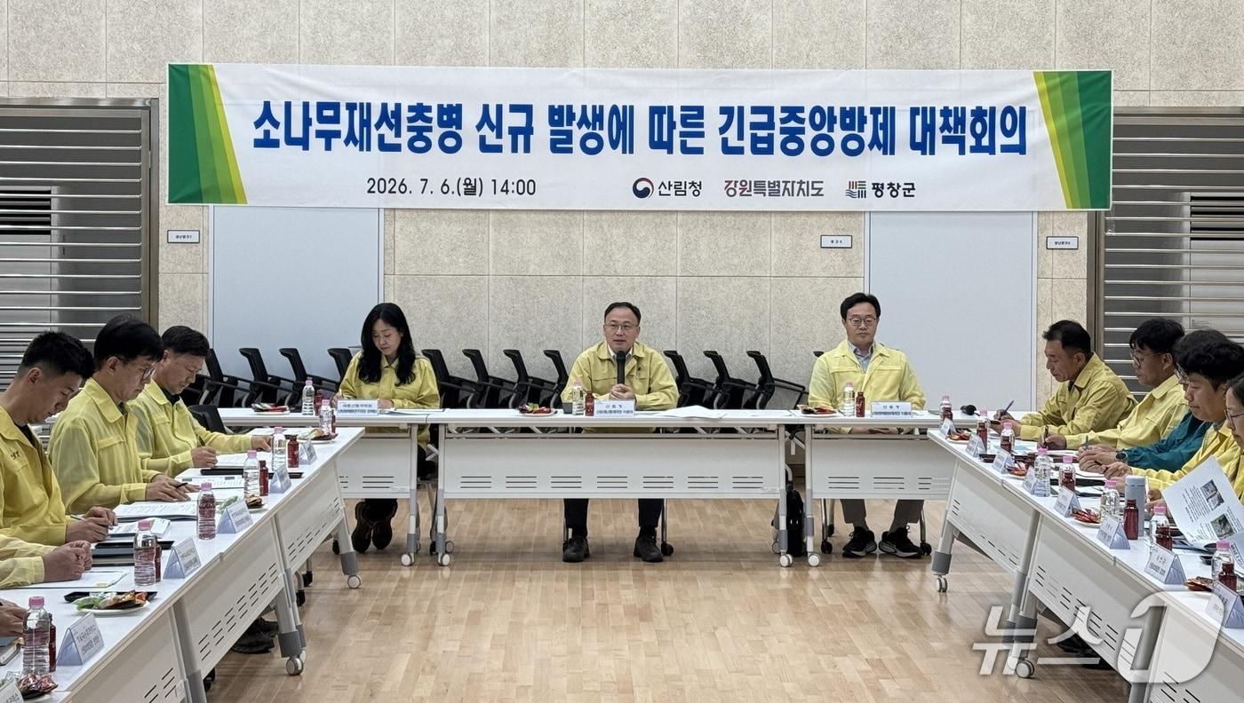 본문 이미지 - 산림청은 6일 강원특별자치도 평창군에서 '소나무재선충병 신규 발생에 따른 긴급중앙방제 대책회의'를 개최했다. (산림청 제공. 재판매 및 DB 금지)/뉴스1