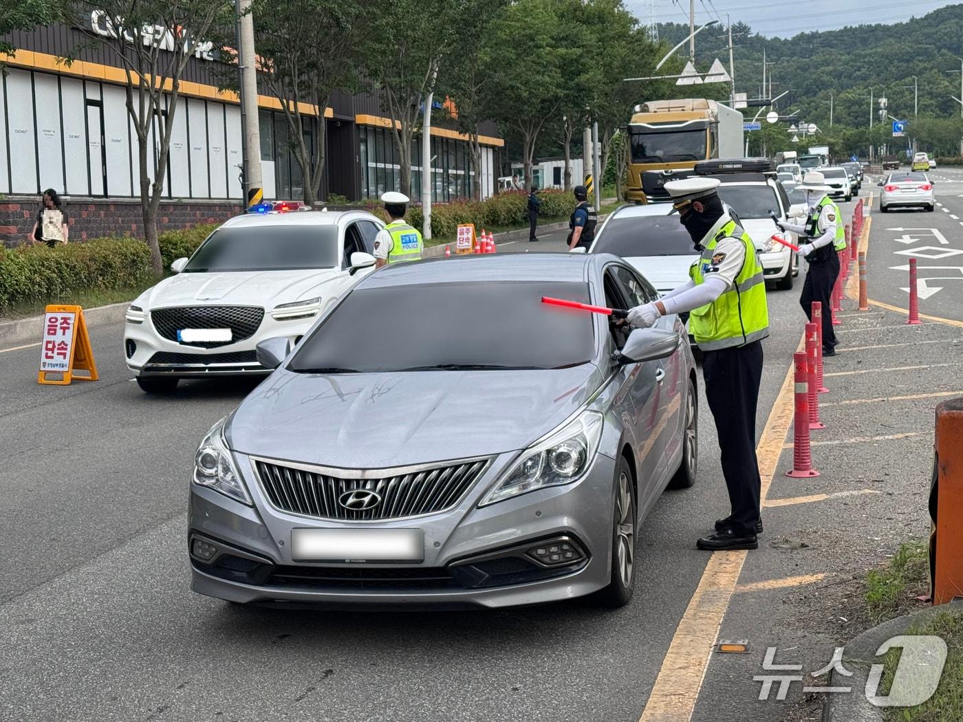 본문 이미지 - 7일 경북 포항남부경찰서가 본격적인 피서철을 앞두고 숙취 운전 집중 단속을 실시 중이라고 밝혔다.(포항남부경찰서제공, 재판매 및 DB금지) 2026.7.7/뉴스1  