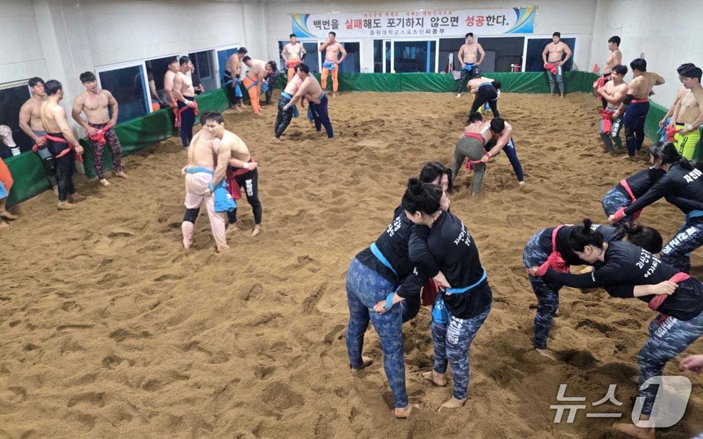 본문 이미지 - 괴산에서 전지훈련 중인 구미시청 씨름단과 양평군청 씨름단 모습.(괴산군 제공. 재판매 및 DB금지)/뉴스1