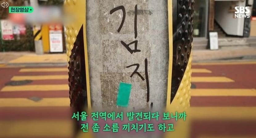 본문 이미지 - SBS