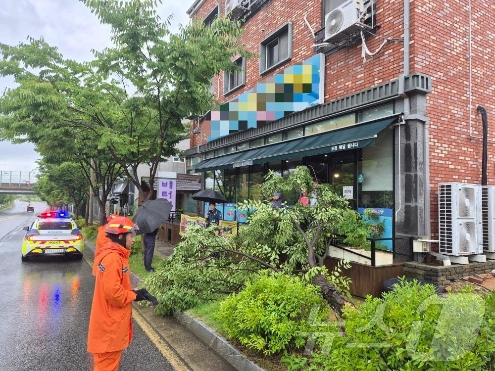 본문 이미지 - 전북 전역에 강한 비가 내린 8일 전북 완주군 이서면의 한 가게 앞에 나무가 쓰러져 있다.(전북소방본부 제공. 재판매 및 DB금지) 2026.7.8 ⓒ 뉴스1 문채연 기자