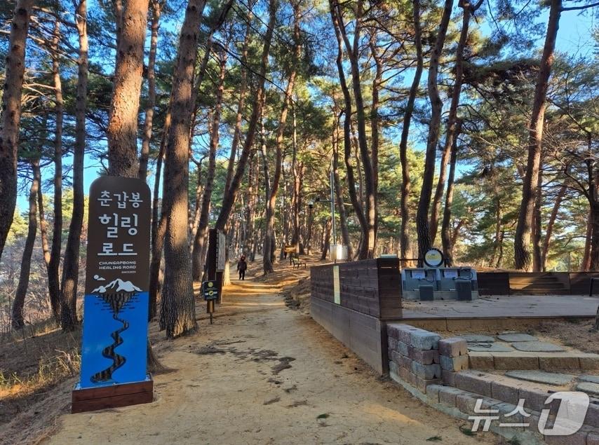 본문 이미지 - 춘갑봉 힐링로드 새단장.(강릉시 포남2동 제공, 재판매 및 DB 금지) 2025.7.9/뉴스1