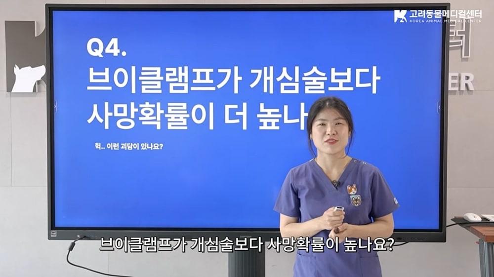 본문 이미지 - 엽경아 고려동물메디컬센터 심장센터장이 유튜브를 통해 브이클램프에 대한 정보를 전하고 있다(유튜브 갈무리). ⓒ 뉴스1