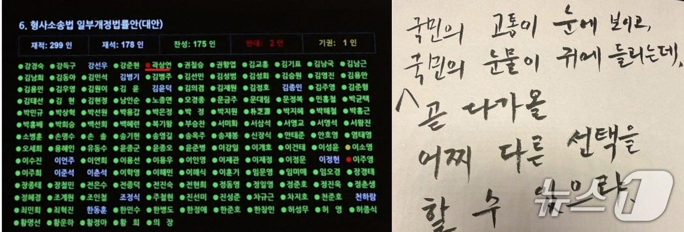 본문 이미지 - 31일 오후 서울 여의도 국회에서 열린 제437회 국회(임시회) 제3차본회의에서 형사소송법 일부개정법률안(대안)이 찬성 175-반대-2기권 1로 통과됐다 . 이주영 개혁신당 의원과 더불어 반대표를 던진 곽상언 더불어민주당 의원은 "국민 고통이 눈에 보여 반대했다"고 밝혔다.  (SNS 갈무리) 2026.7.31 ⓒ 뉴스1 황기선 기자 