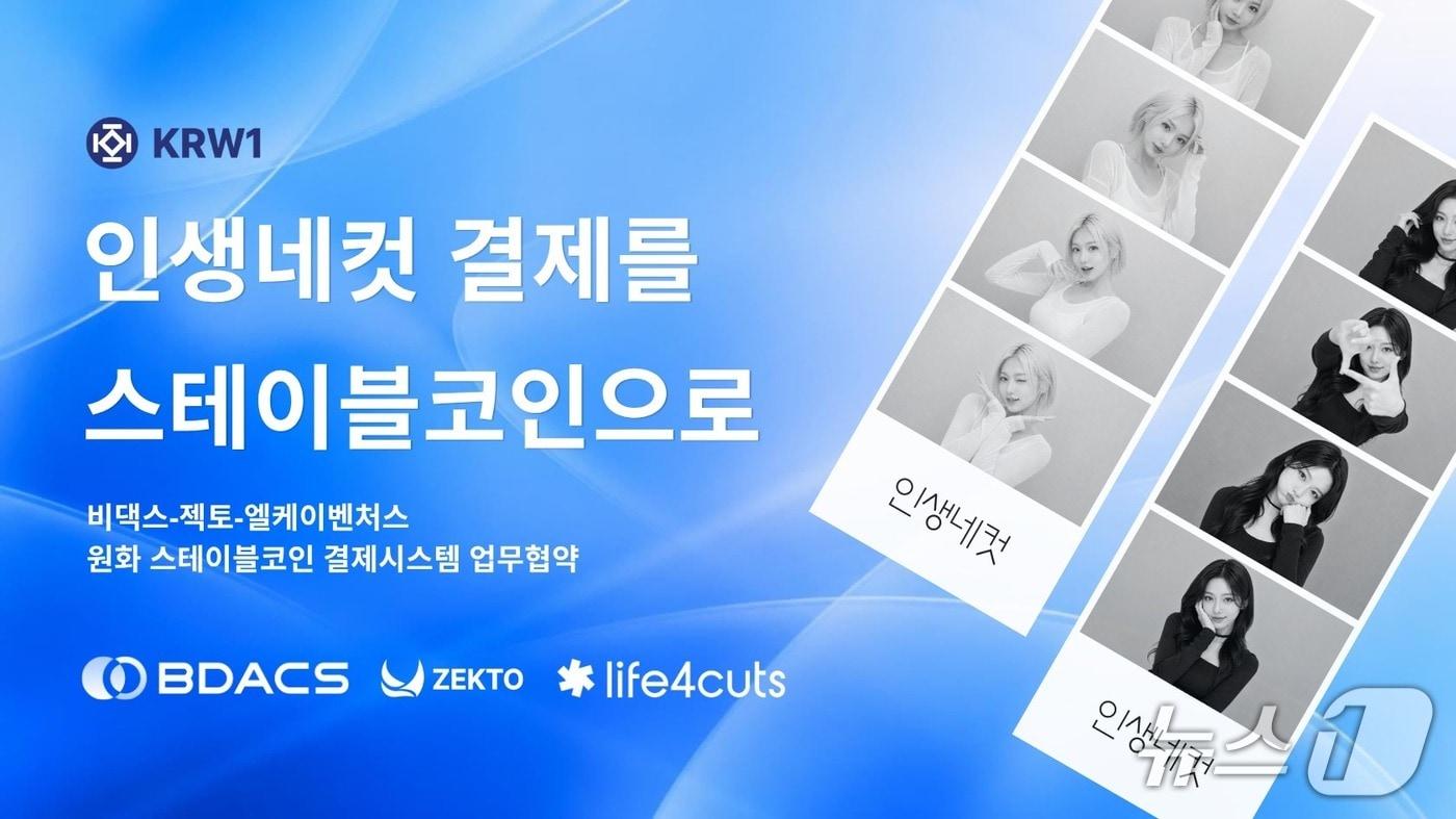 본문 이미지 - (비댁스 제공.) 