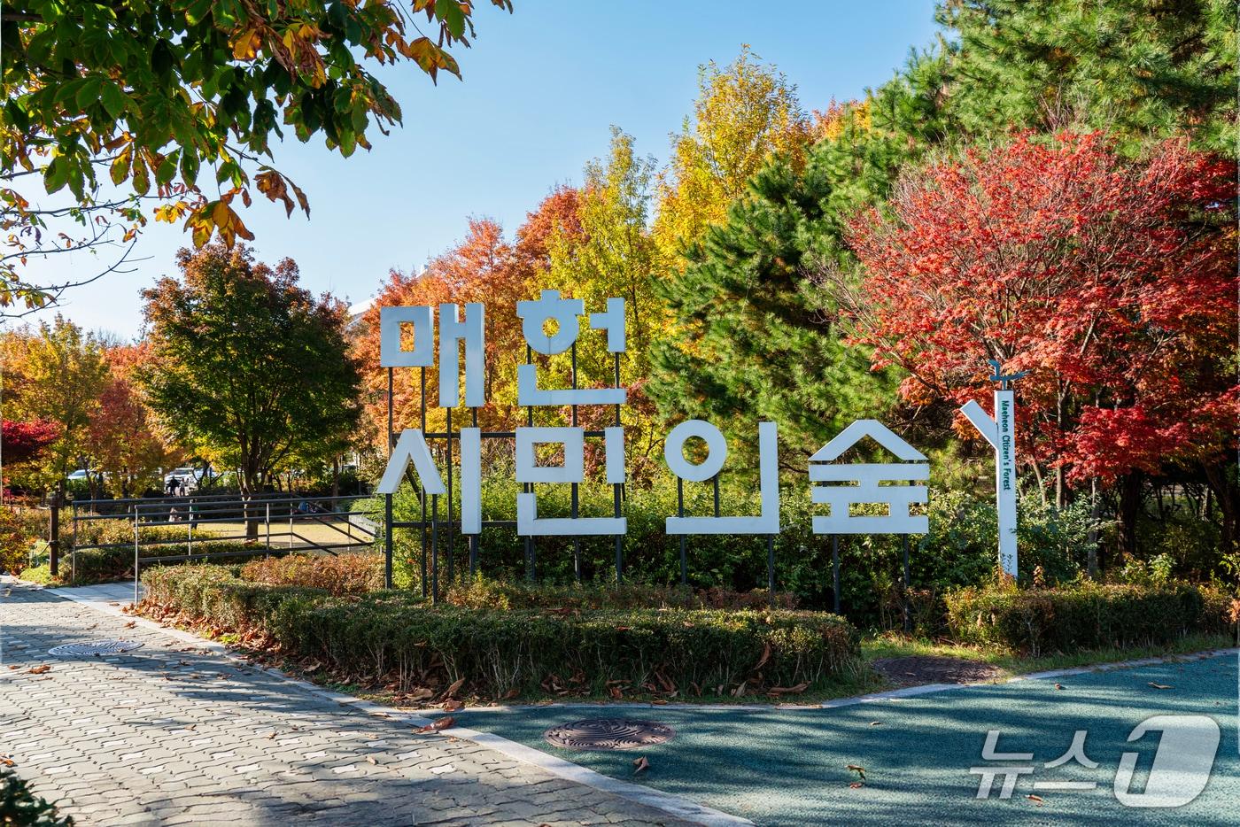 본문 이미지 - 서울국제정원박람회.(서울시 공원사진사 김광옥 제공)