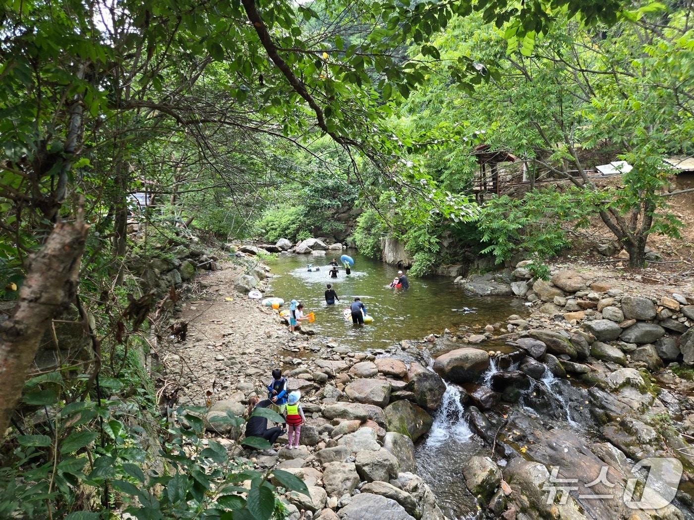 본문 이미지 - 충북 영동군 상촌면 물한계곡을 찾은 피서객들이 즐거운 한때를 보내고 있다.(영동군 제공. 재판매 및 DB금지)/뉴스1