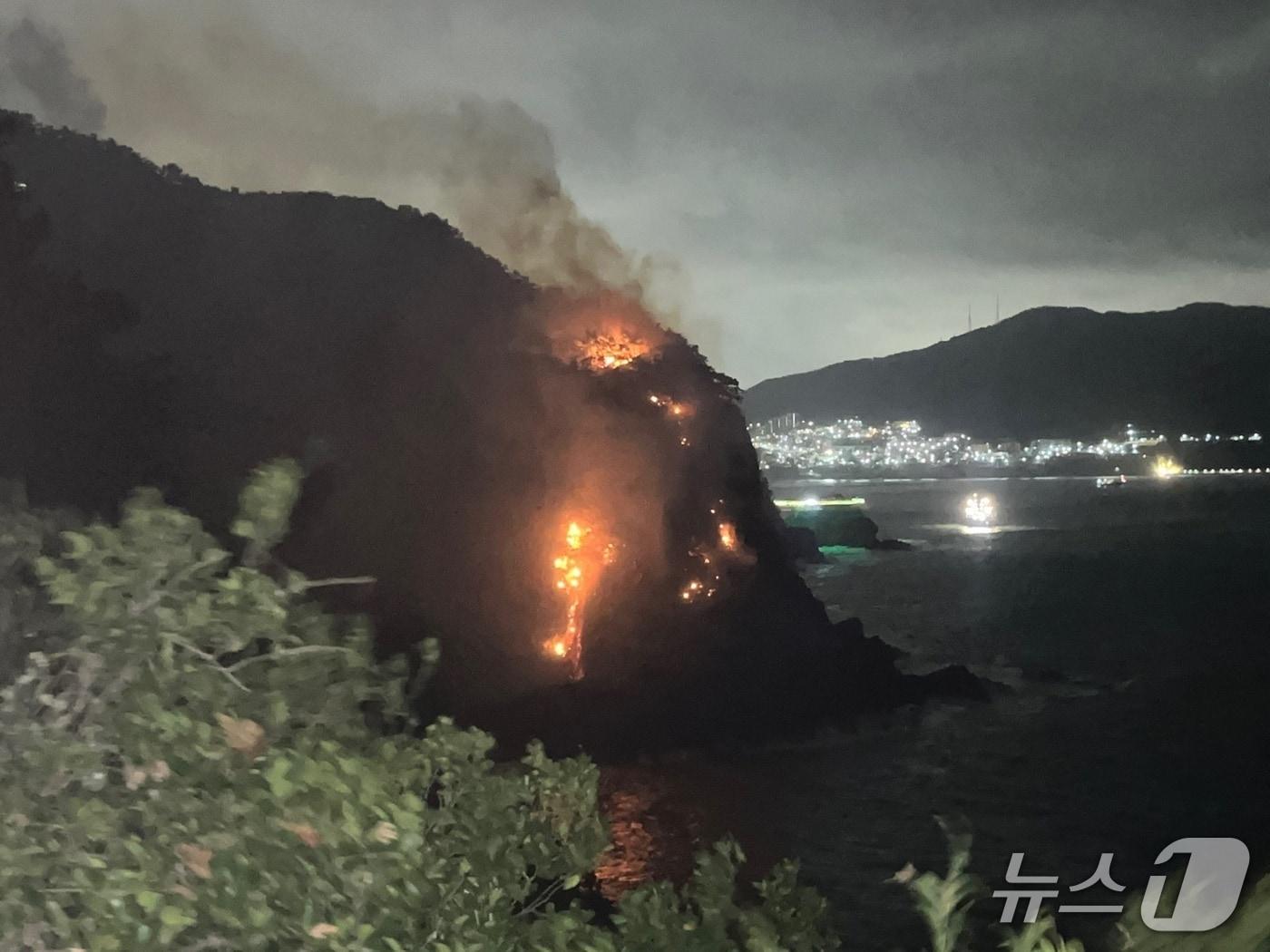 본문 이미지 - 10일 오전 0시 20분쯤 부산 서구 암남동 한 야산에서 불이 났다. 사진은 화재 현장 모습. (부산소방재난본부 제공. 재판매 및 DB금지)