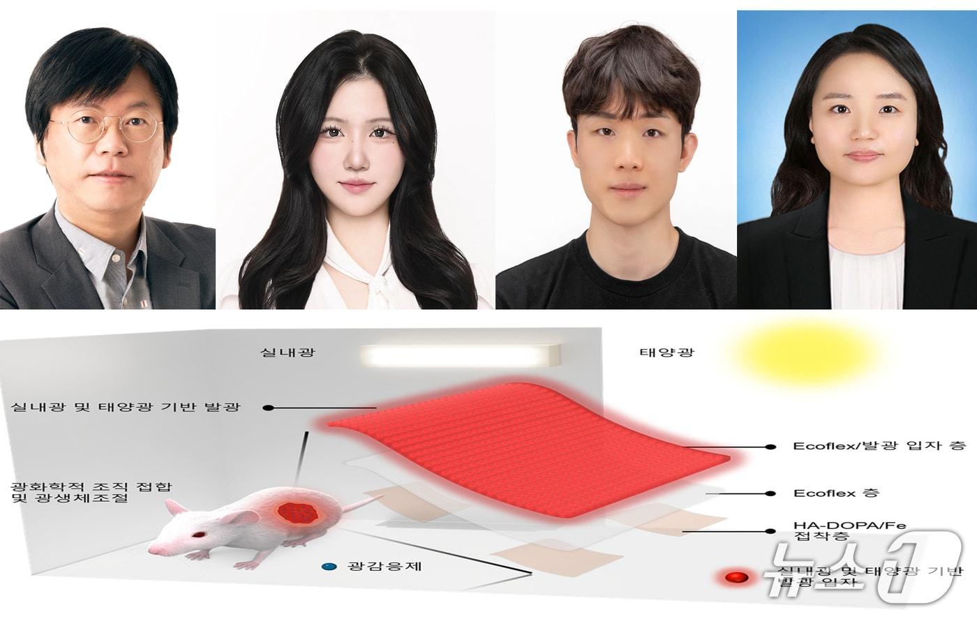 본문 이미지 - 한세광 포스텍 신소재공학과 융합대학원 교수팀과 김혜민 건국대 교수가 배터리와 외부 전원없이 실내등이나 햇빛만으로 상처 봉합과 조직 재생을 돕는 착용형 광치료 패치 개발에 성공했다. 왼쪽부터 한세광 교수, 조경주 포스텍 신소재공학과 석사과정, 김성종 신소재공학과 박사, 감혜민 교수. (포스텍 제공, 재판매 및 DB금지) 2026.8.10/뉴스1  