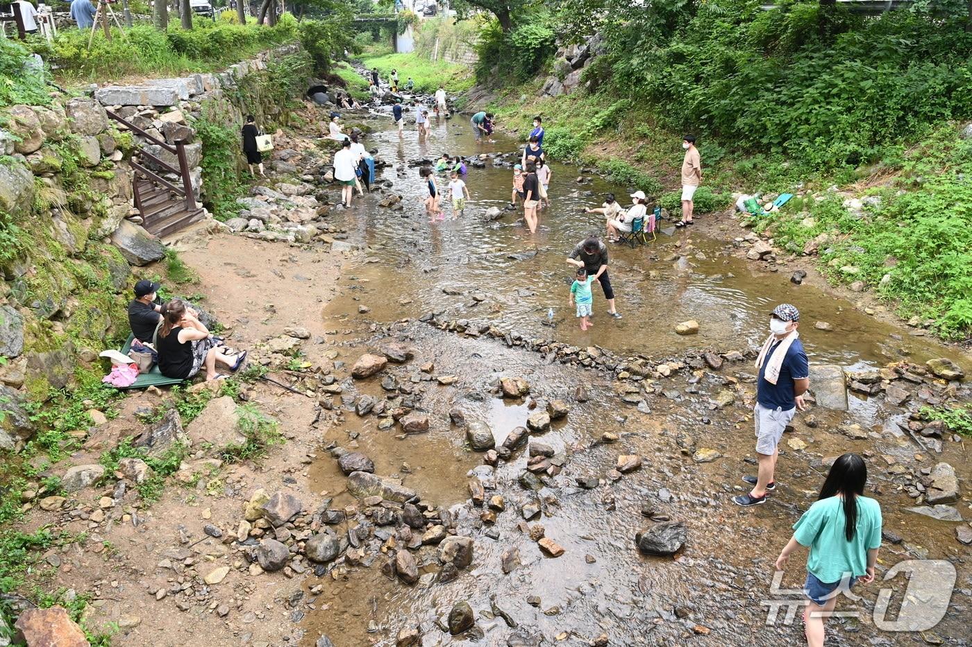 본문 이미지 - 계곡·하천 자료사진.(사진은 기사 내용과 무관함) / 뉴스1
