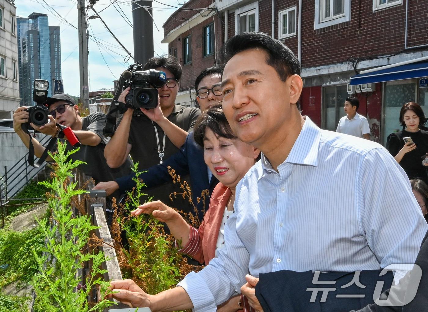 본문 이미지 - 오세훈 서울시장 (공동취재) 2026.8.11 ⓒ 뉴스1 김진환 기자