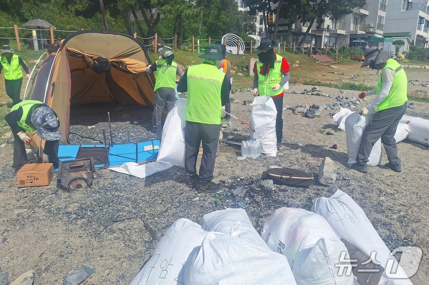본문 이미지 - 11일 울산 북구 강동해변에서 북구 직원들이 장박텐트를 철거하고 있다. (북구 제공. 재판매 및 DB 금지) /뉴스1