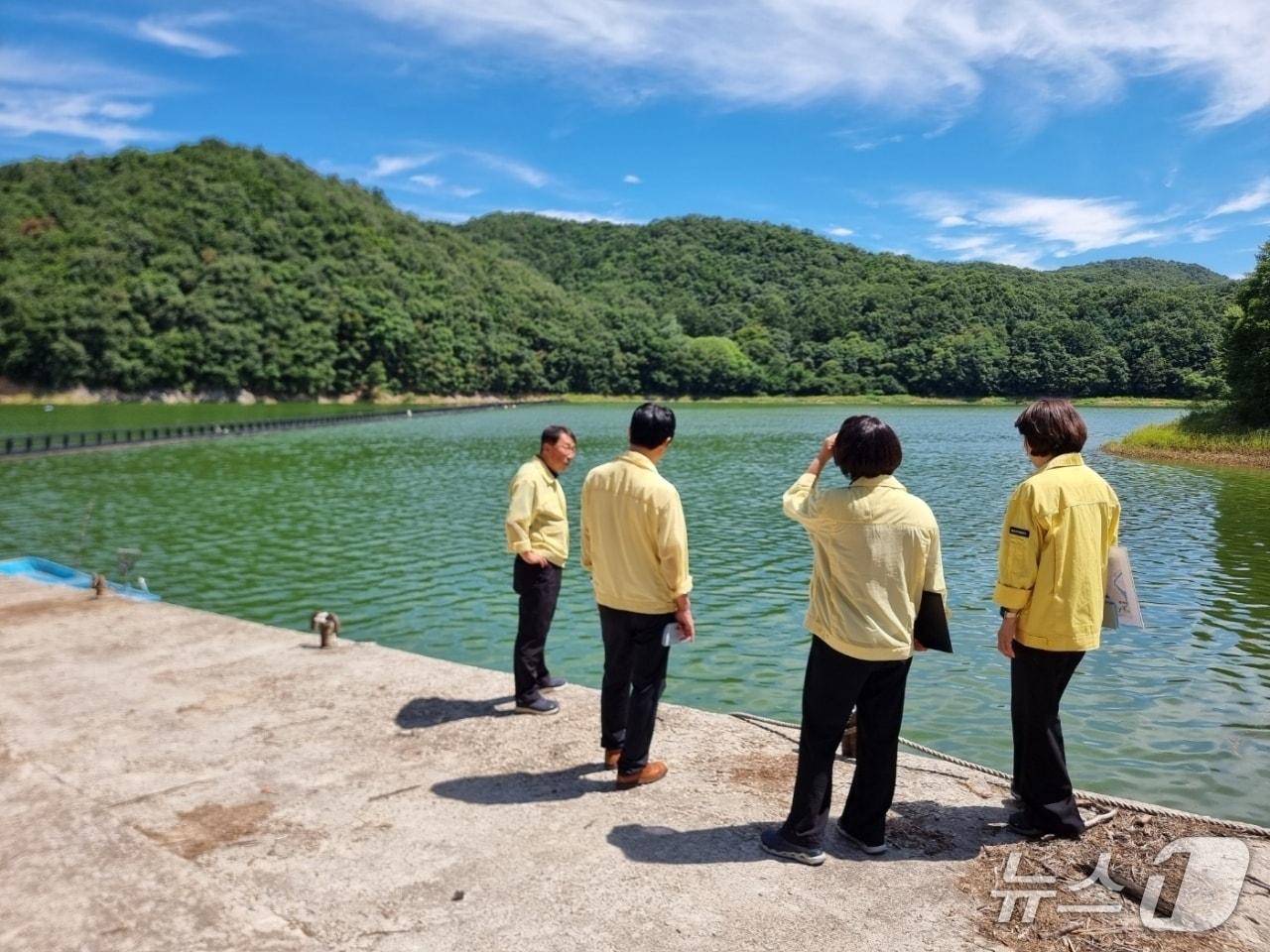 본문 이미지 - 녹조대응 현장점검.(한국수자원공사) 한강유역본부 제공. 재판매 및 DB금지)/뉴스1