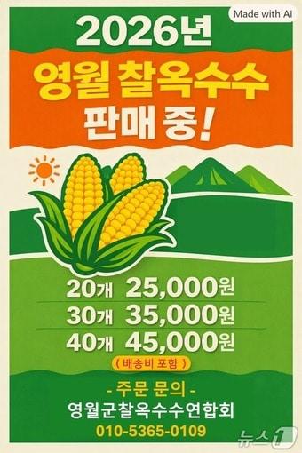 본문 이미지 - 영월 찰옥수수 판매 홍보물.(영월군 제공, 재판매 및 DB 금지) 2026.8.11/뉴스1