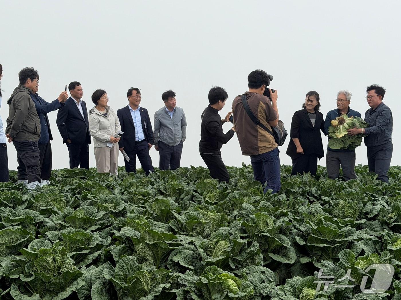 본문 이미지 - 지난 11일 강릉시 왕산면 고랭지 배추 재배단지를 방문한 이승돈 농촌진흥청장.(강릉시 제공, 재판매 및 DB 금지) 2026.8.12/뉴스1