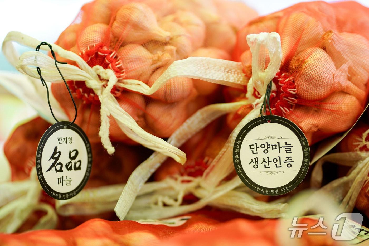 본문 이미지 - 최상급 단양마늘.(단양군 제공. 재판매 및 DB금지) 