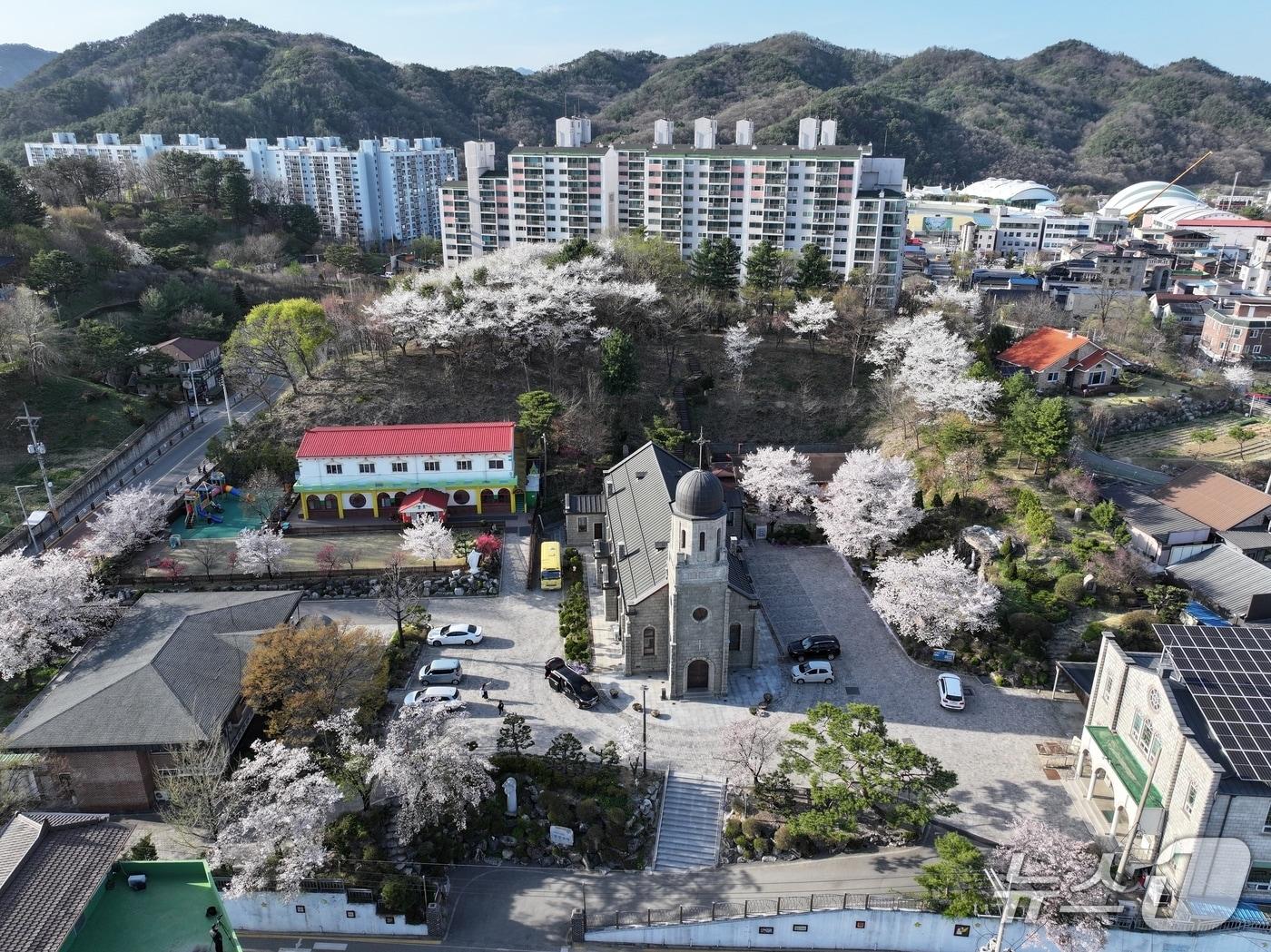 본문 이미지 - 횡성군  자료사진./뉴스1