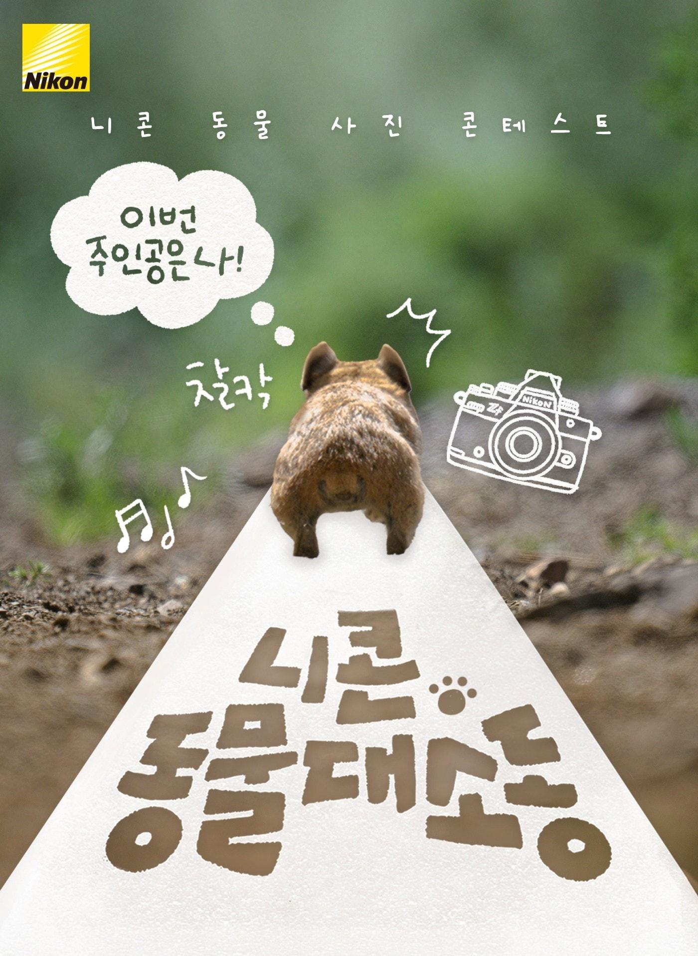 본문 이미지 - 니콘이미징코리아는 '니콘 동물대소동'을 개최한다고 13일 밝혔다.(니콘이미징코리아 제공)