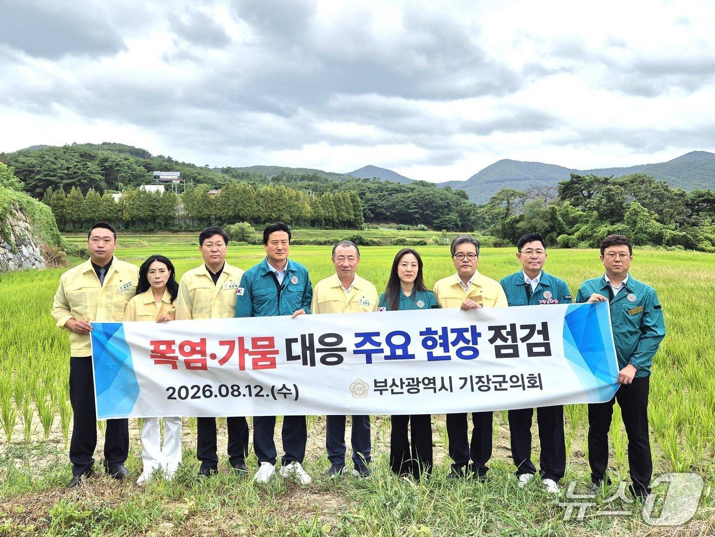 본문 이미지 - 부산 기장군의회 의원들이 지난 12일 관내 폭염·가뭄 대비 현장 점검 모습. (기장군의회 제공. 재판매 및 DB금지)