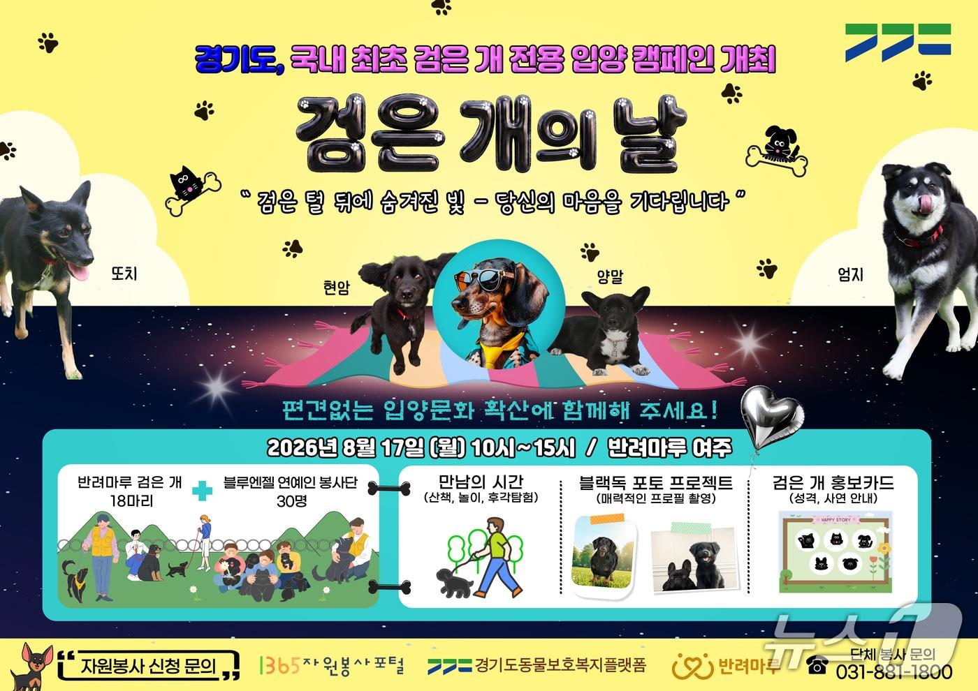 본문 이미지 - 경기도 반려마루에서 열리는 '검은개의 날' 행사 그래픽.(경기도 제공. 재판매 및 DB금지)