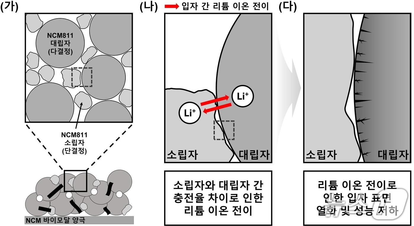 본문 이미지 - 혼합 양극재(바이모달 전극) 내부의 리튬 이온 이동 및 열화 메커니즘 분석(한국연구재단 제공) /뉴스1