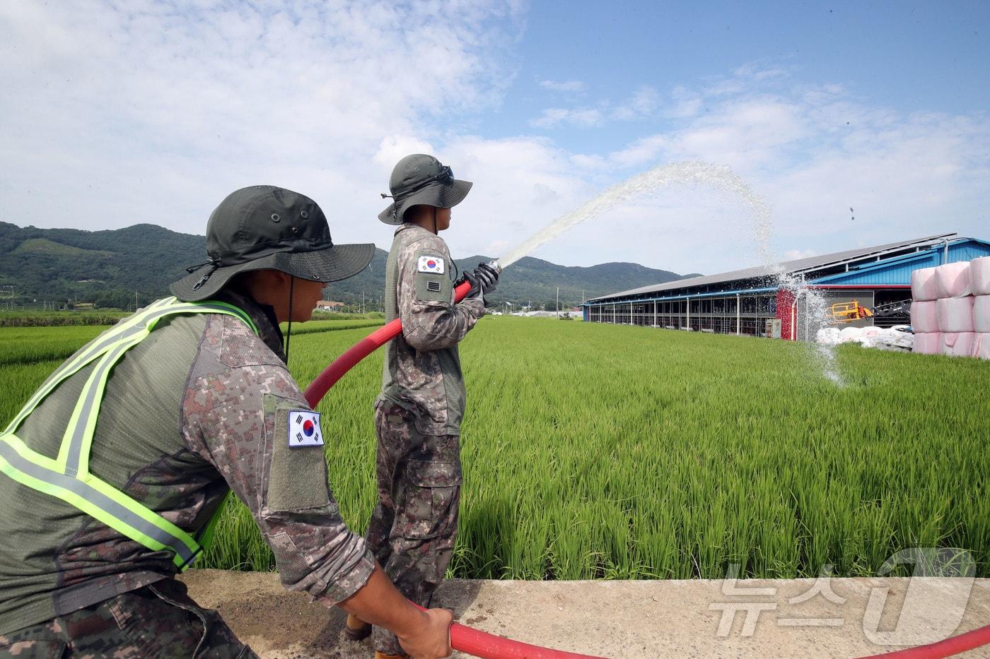 본문 이미지 - 육군 제31보병사단 장병들이 14일 전남광주 나주시 노안면의 한 논에서 가뭄 피해 최소화를 위한 급수지원 작전을 펼치고 있다. 2026.8.14 ⓒ 뉴스1 조수민 기자