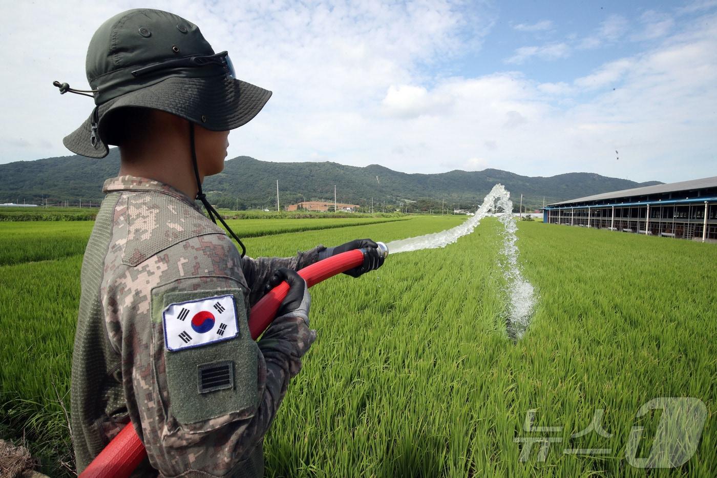 본문 이미지 - 육군 제31보병사단 장병들이 14일 전남 나주시 노안면의 한 논에서 가뭄 피해 최소화를 위한 급수지원 작전을 펼치고 있다. 2026.8.14 ⓒ 뉴스1 조수민 기자