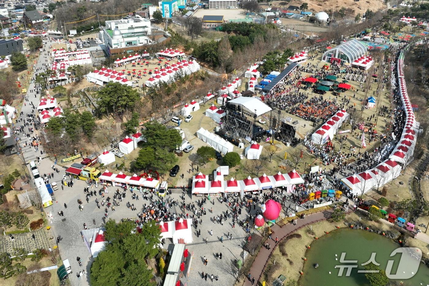 본문 이미지 - 지난해 논산딸기축제 (논산문화관광재단 제공.재판매 및 DB금지)/뉴스1