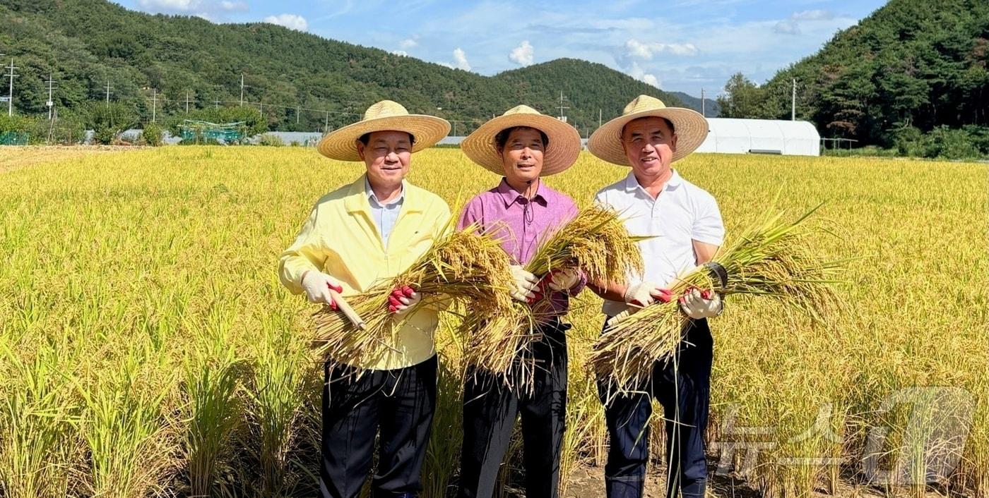 본문 이미지 - 전화식 성주군수(왼쪽)가 14일 용암면 선송리 조용수 씨 논에서 첫 벼베기를 한 벼를 들고 있다. (성주군 제공. 재판매 및 DB금지) ⓒ 뉴스1 정우용 기자