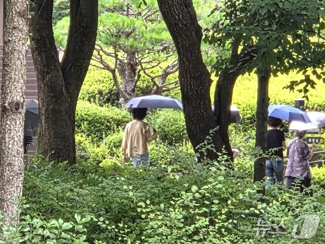 본문 이미지 - 청주시 상당구 미원면에 위치한  충북도 미동산수목원을 찾은 탐방객들이 우산을 쓰고 산책하고 있다.2026.8.16/뉴스1 장인수 기자