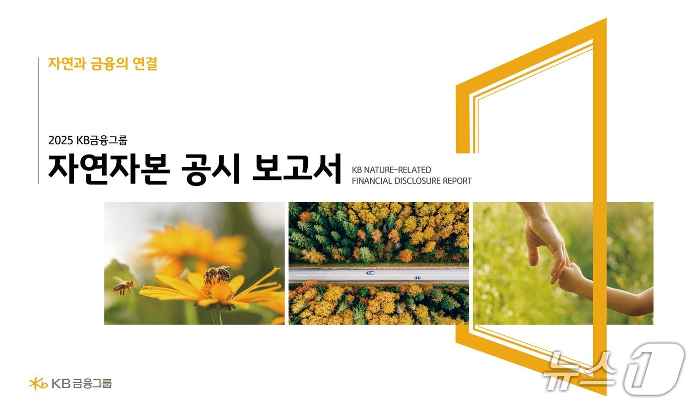 본문 이미지 - KB금융, 생산적·포용적 금융을 자연자본 관점에서 조명하는 '2025 자연자본 공시 보고서' 발간/사진제공=KB금융